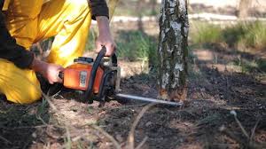 Soil Testing and Treatment in Pleasant Hill, CA